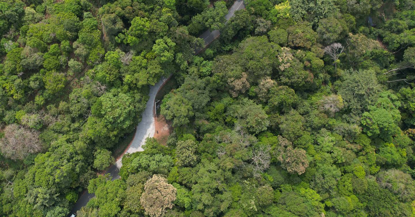 Wayanad Drive